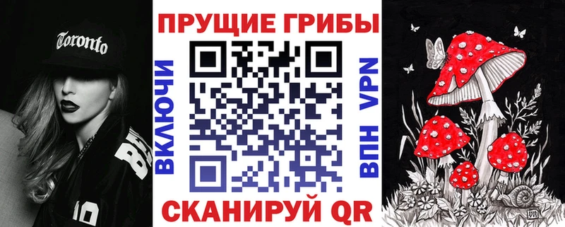 Галлюциногенные грибы Psilocybe цены Морозовск